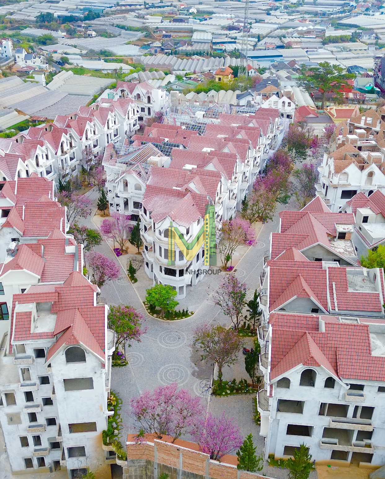 hình ảnh mai anh đào