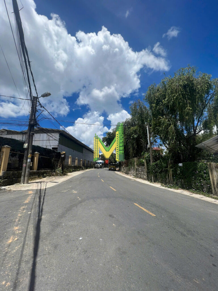 Đất Nguyễn Trãi 305m2 phường Lâm Viên ( phường 9 cũ ) - Ảnh 2