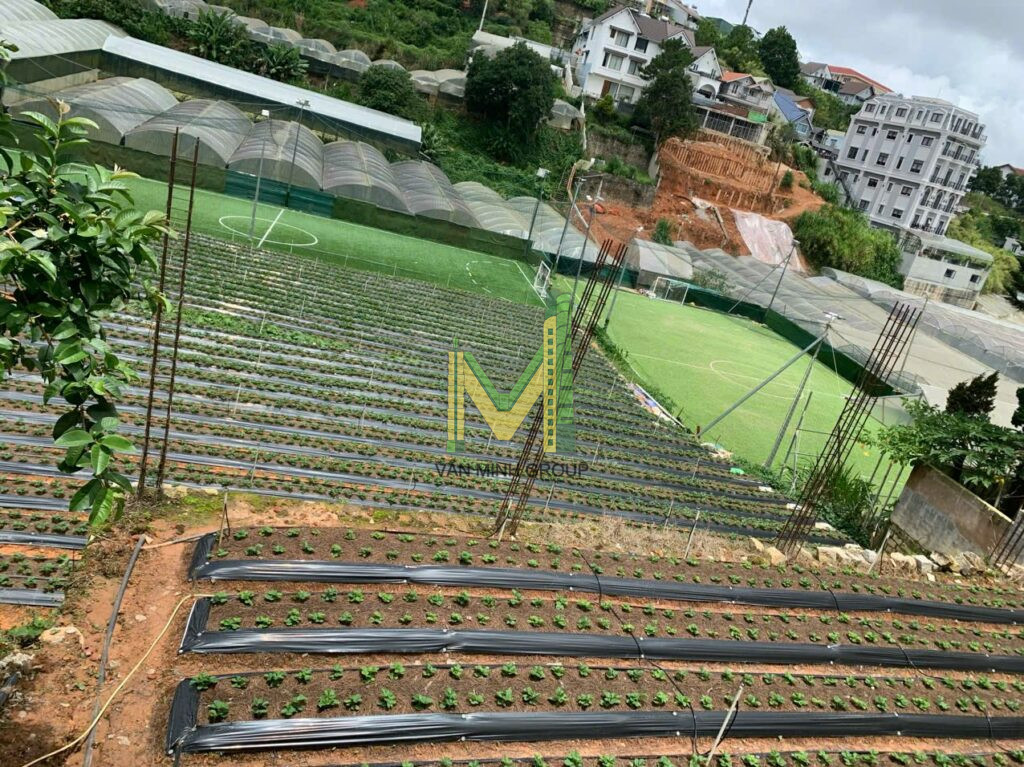 ĐẤT BIỆT THỰ DIỆN  TÍCH LỚN ĐƯỜNG NGUYỄN HỮU CẢNH P LÂM VIÊN ĐÀ LẠT - Ảnh 3