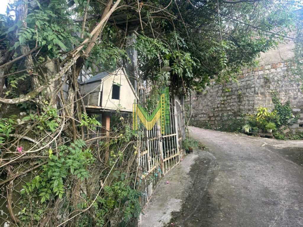 Nhà 2 mặt tiền  Phạm Hồng Thái 427,54m2  p10 30 tỉ - Ảnh 2