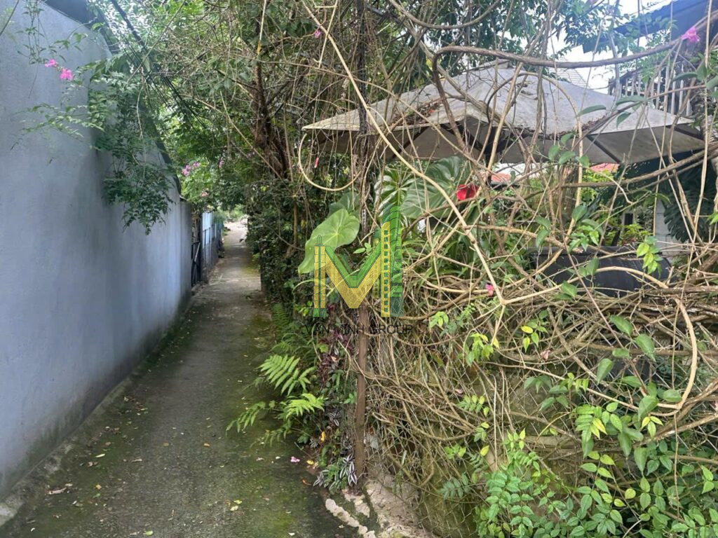 Nhà 2 mặt tiền  Phạm Hồng Thái 427,54m2  p10 30 tỉ - Ảnh 3