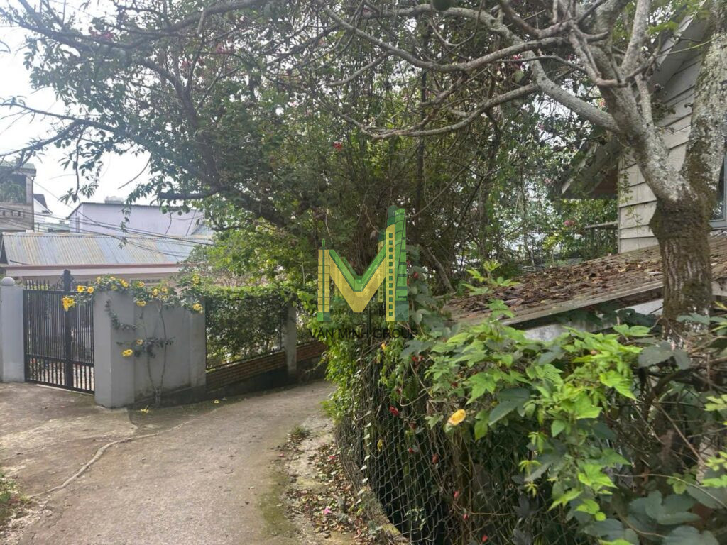 Nhà 2 mặt tiền  Phạm Hồng Thái 427,54m2  p10 30 tỉ - Ảnh 4