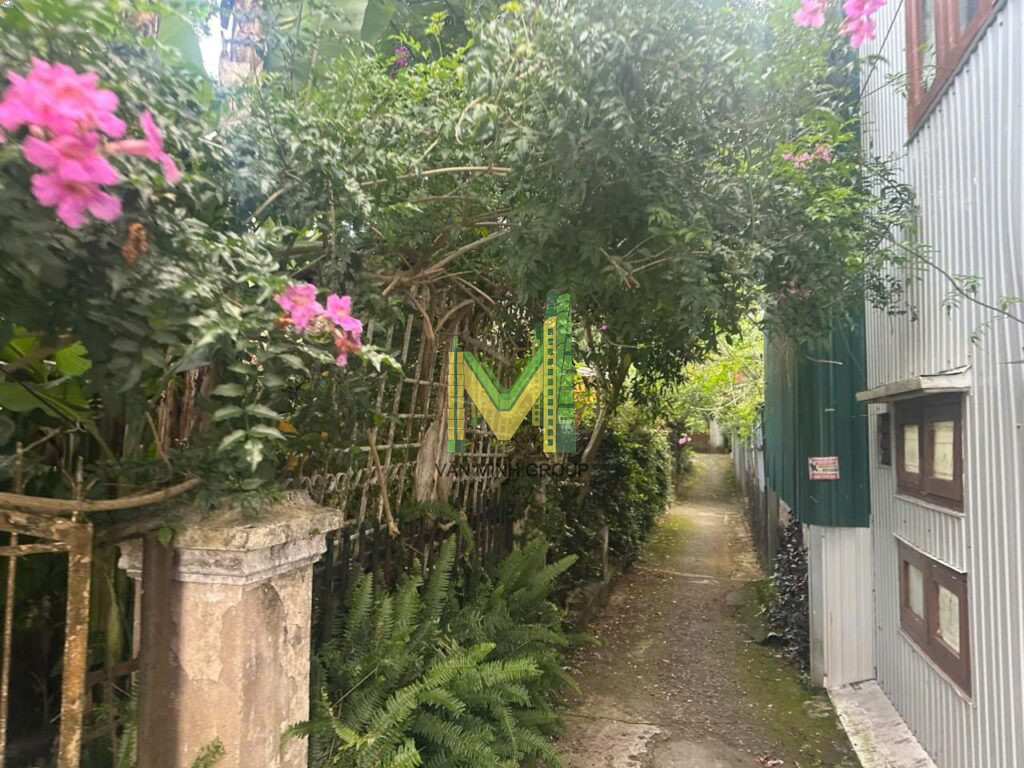 Nhà 2 mặt tiền  Phạm Hồng Thái 427,54m2  p10 30 tỉ - Ảnh 5