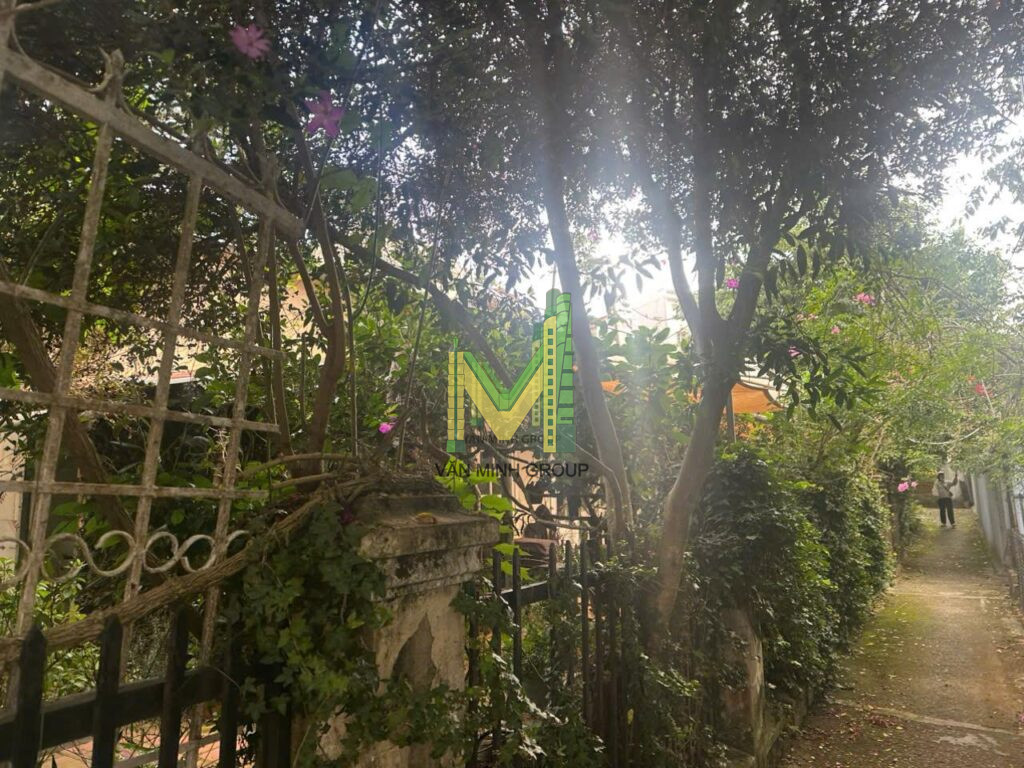 Nhà 2 mặt tiền  Phạm Hồng Thái 427,54m2  p10 30 tỉ - Ảnh 9