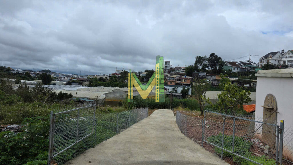 BÁN 250m2 ĐẤT MẶT TIỀN ĐƯỜNG BẠCH ĐẰNG – LANGBIANG – ĐÀ LẠT - Ảnh 5