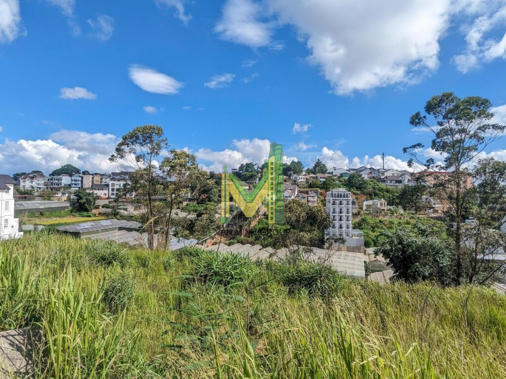 Chính Chủ cần bán lô đất KQH Đồi Huy Hoàng P8 TP Đà Lạt 650m2 30 tỉ 2 mặt tiền view thung lũng - Ảnh 8