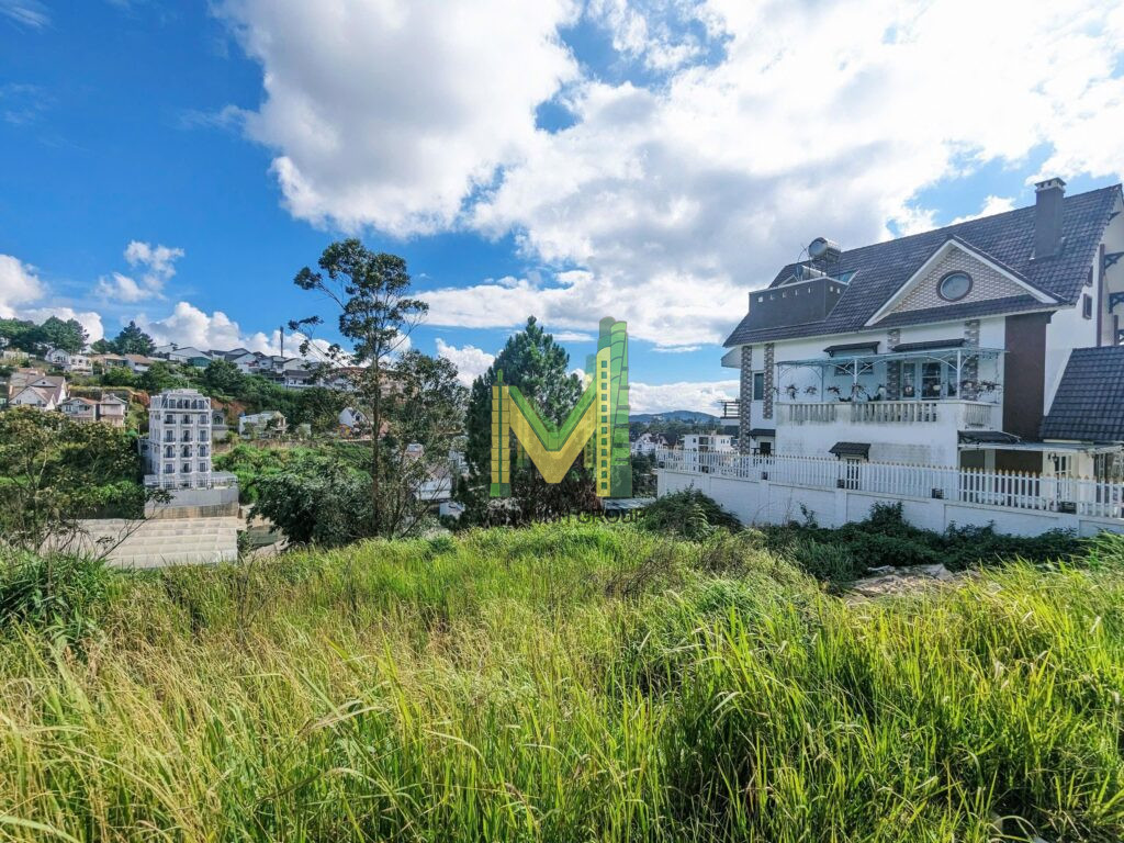 Chính Chủ cần bán lô đất KQH Đồi Huy Hoàng P8 TP Đà Lạt 650m2 30 tỉ 2 mặt tiền view thung lũng - Ảnh 9