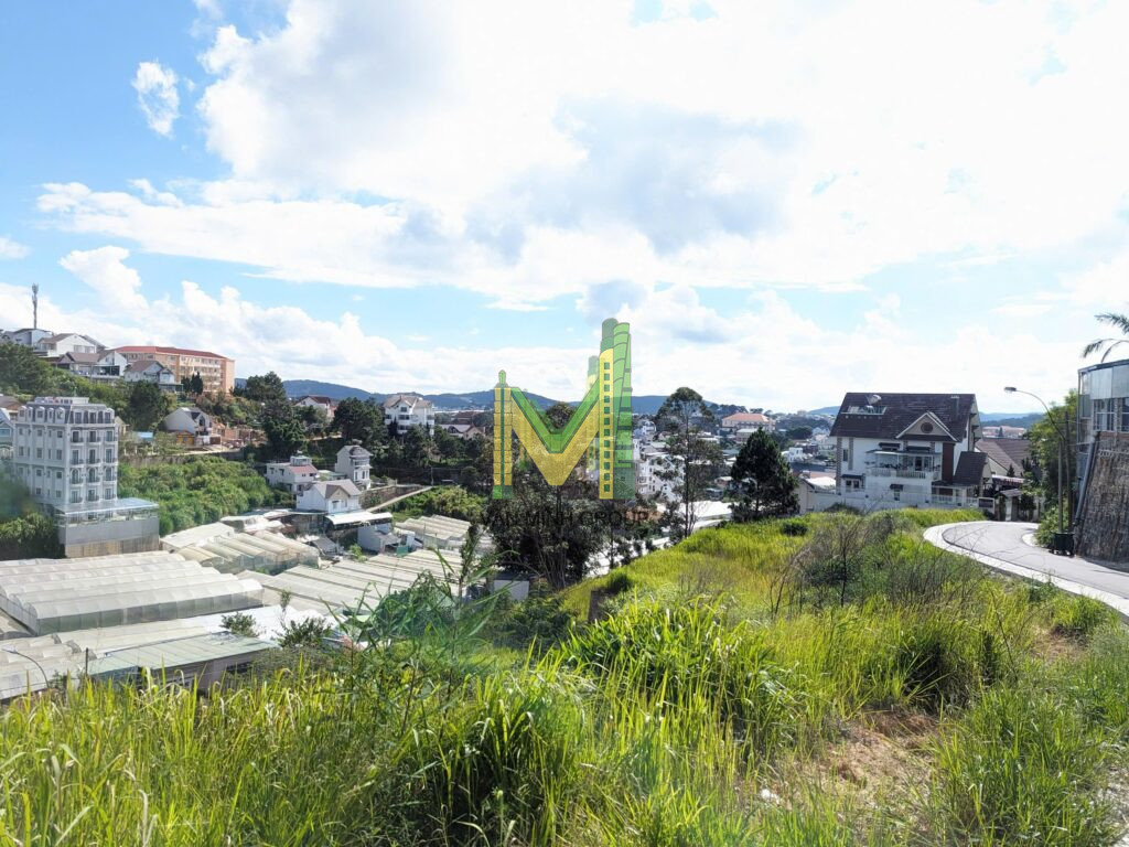 Chính Chủ cần bán lô đất KQH Đồi Huy Hoàng P8 TP Đà Lạt 650m2 30 tỉ 2 mặt tiền view thung lũng - Ảnh 10