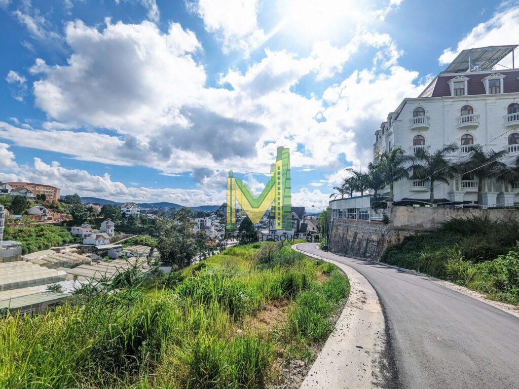 Chính Chủ cần bán lô đất KQH Đồi Huy Hoàng P8 TP Đà Lạt 650m2 30 tỉ 2 mặt tiền view thung lũng - Ảnh 4