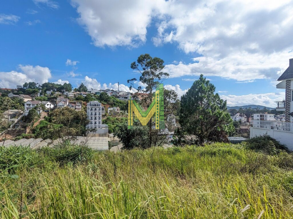 Chính Chủ cần bán lô đất KQH Đồi Huy Hoàng P8 TP Đà Lạt 650m2 30 tỉ 2 mặt tiền view thung lũng - Ảnh 6