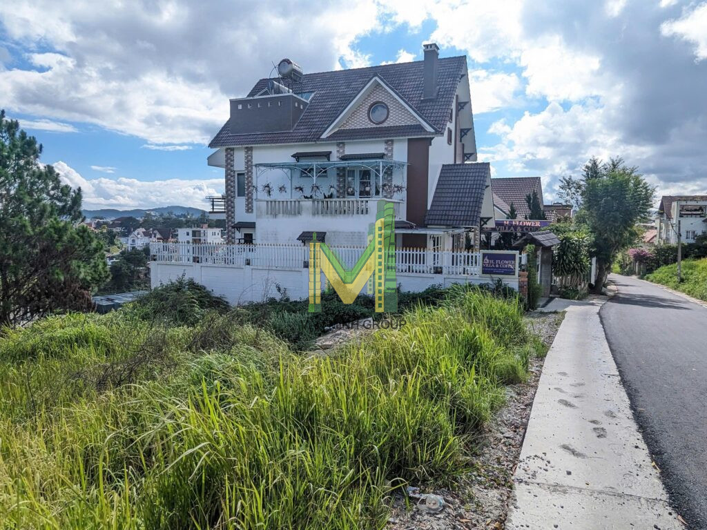 Chính Chủ cần bán lô đất KQH Đồi Huy Hoàng P8 TP Đà Lạt 650m2 30 tỉ 2 mặt tiền view thung lũng - Ảnh 3