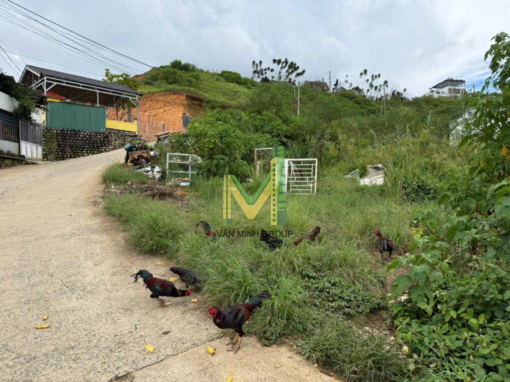 Đất lô A8 Khu bàn tay phật An Sơn 245,68m2