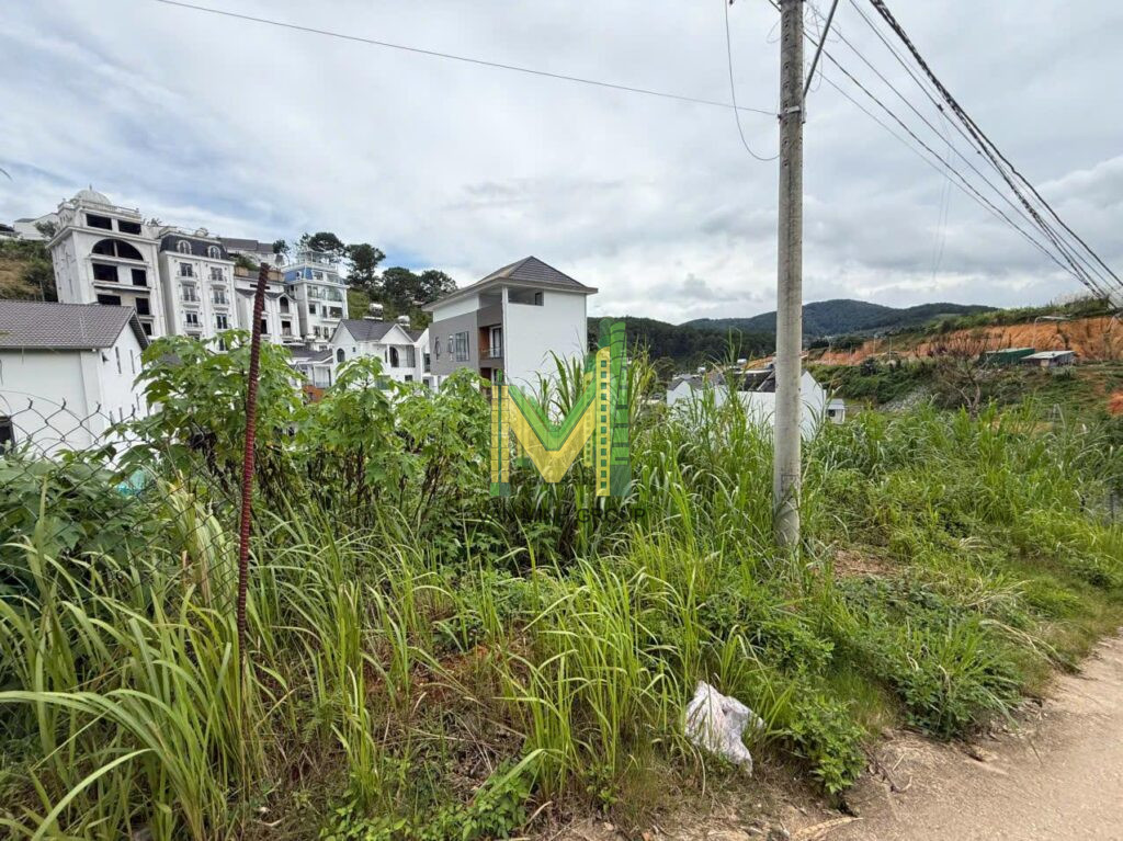 Đất lô A4 Khu bàn tay phật An Sơn 269m2 full thổ