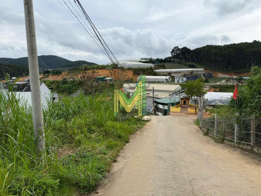 Đất lô A4 Khu bàn tay phật An Sơn 269m2 full thổ - Ảnh 2