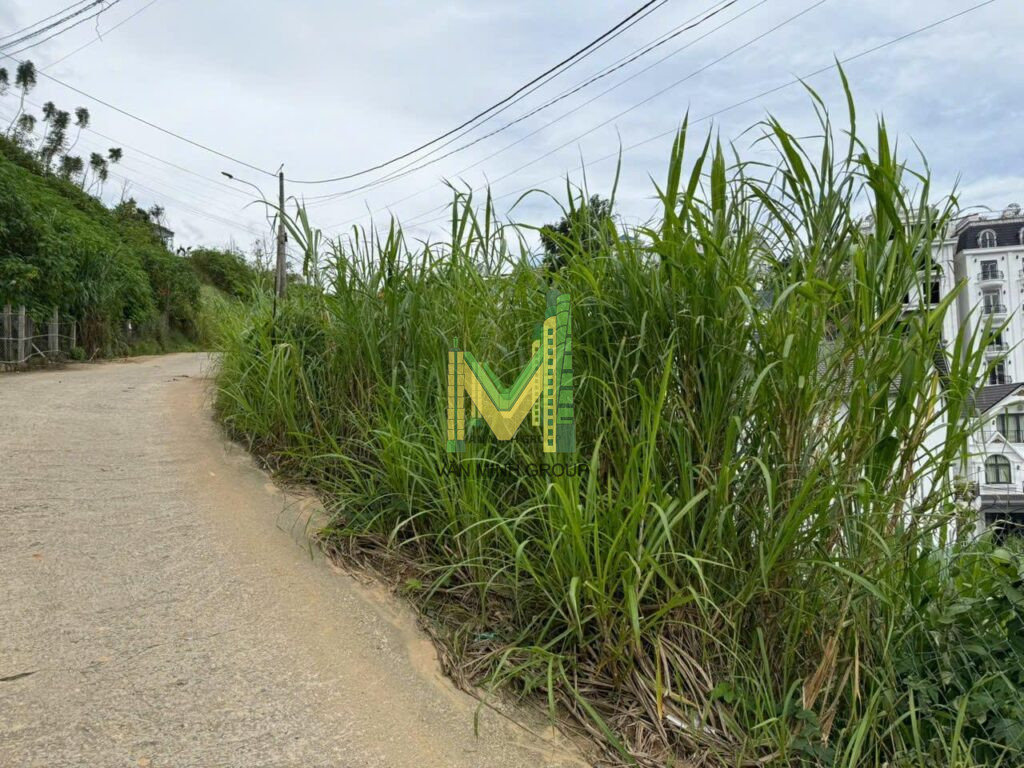 Đất lô A4 Khu bàn tay phật An Sơn 269m2 full thổ - Ảnh 4