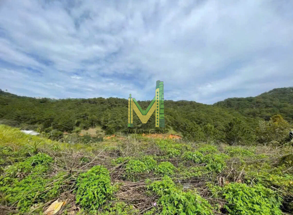 🔥 Bán đất view thông đường Hoàng Hoa Thám Phường Xuân Hương – Đà Lạt.