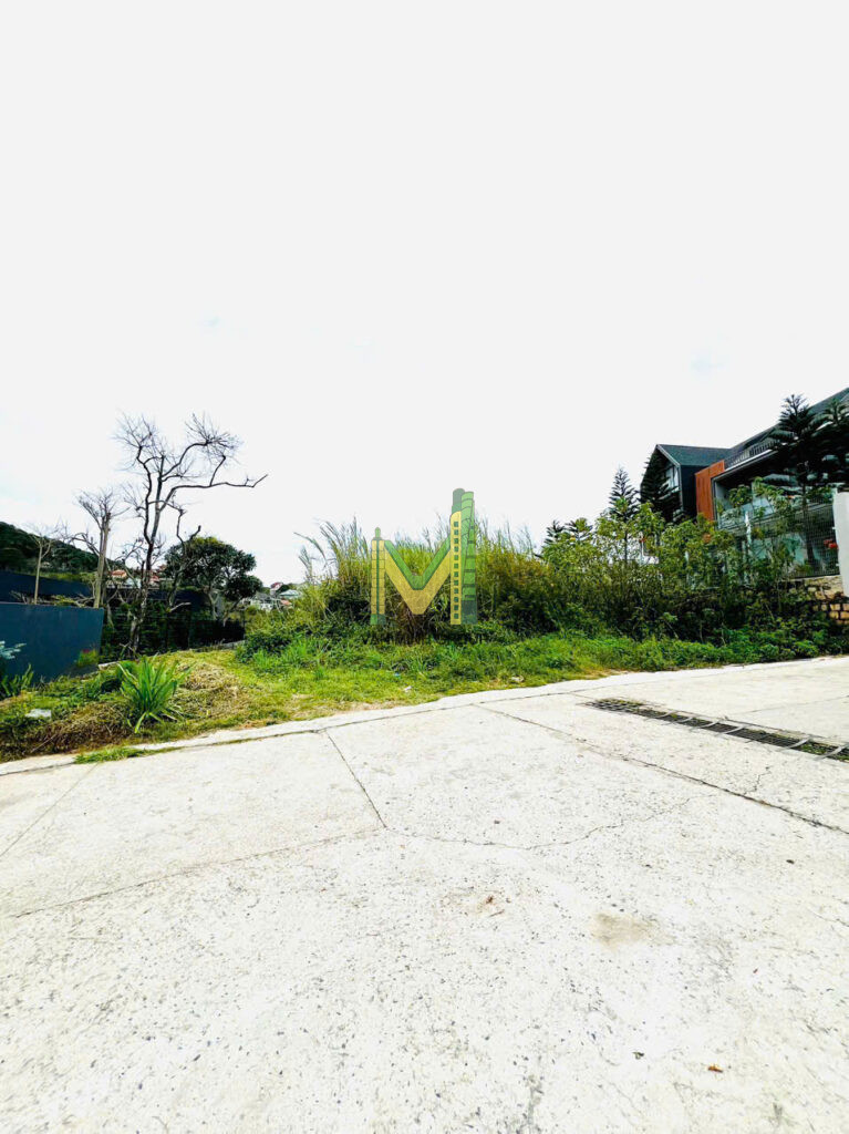 🔥 Bán đất view thông đường Hoàng Hoa Thám Phường Xuân Hương – Đà Lạt. - Ảnh 3