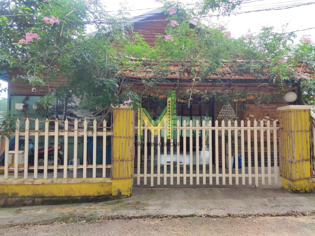 BÁN GẤP LÔ ĐẤT KHE SANH, PHƯỜNG 10, ĐÀ LẠT VIEW RỪNG THÔNG, 865M2 GIÁ 22,5 TỶ RẺ NHẤT KHU VỰC - Ảnh 3