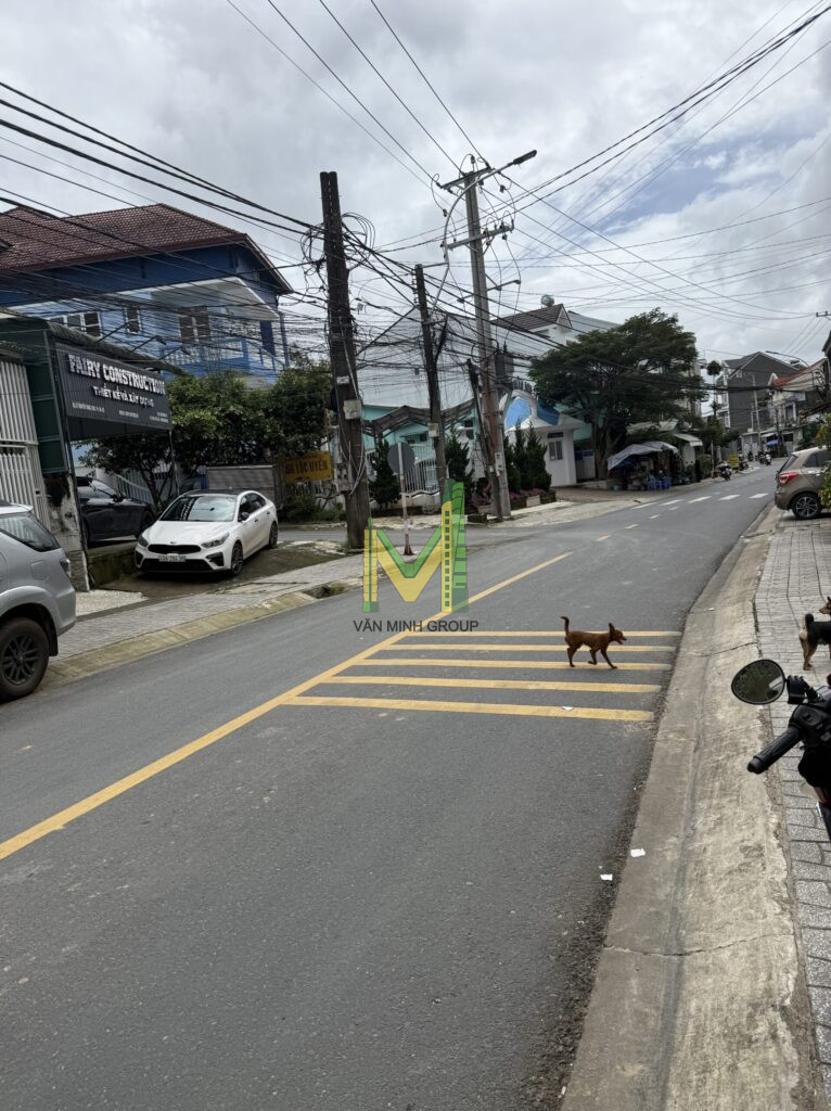 Bán Nhà Đẹp Mặt Tiền Nguyễn Trung Trực , Phường Xuân Hương – Đà Lạt - Ảnh 5