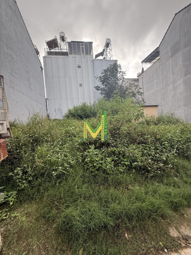 Bán Đất Đẹp KQH Trần Anh Tông Phường Lâm Viên – (p.8 Cũ) – Đà Lạt