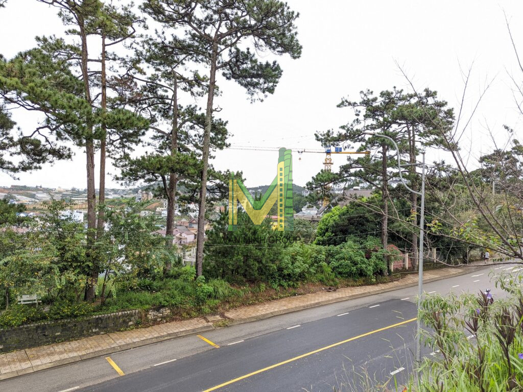 Bán đất 2 mặt tiền KQH Viện Nghiên Cứu phường 11, Đà Lạt - Ảnh 8