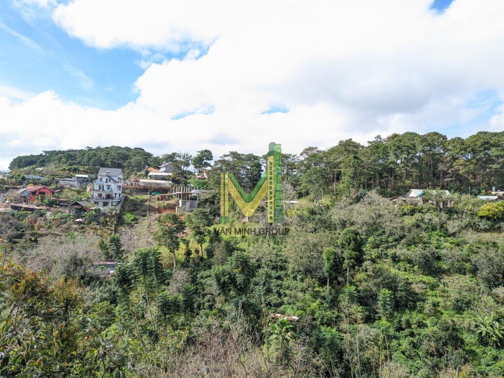 BÁN GẤP LÔ ĐẤT KHE SANH, PHƯỜNG 10, ĐÀ LẠT VIEW RỪNG THÔNG, 865M2 GIÁ 22,5 TỶ RẺ NHẤT KHU VỰC - Ảnh 2