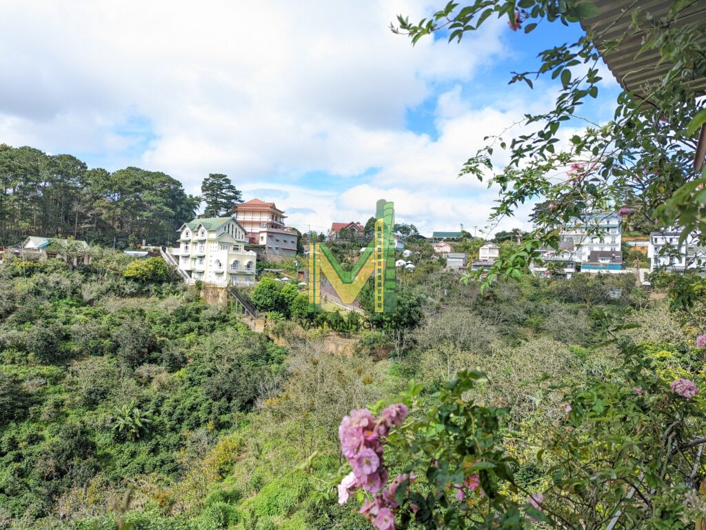 BÁN GẤP LÔ ĐẤT KHE SANH, PHƯỜNG 10, ĐÀ LẠT VIEW RỪNG THÔNG, 865M2 GIÁ 22,5 TỶ RẺ NHẤT KHU VỰC