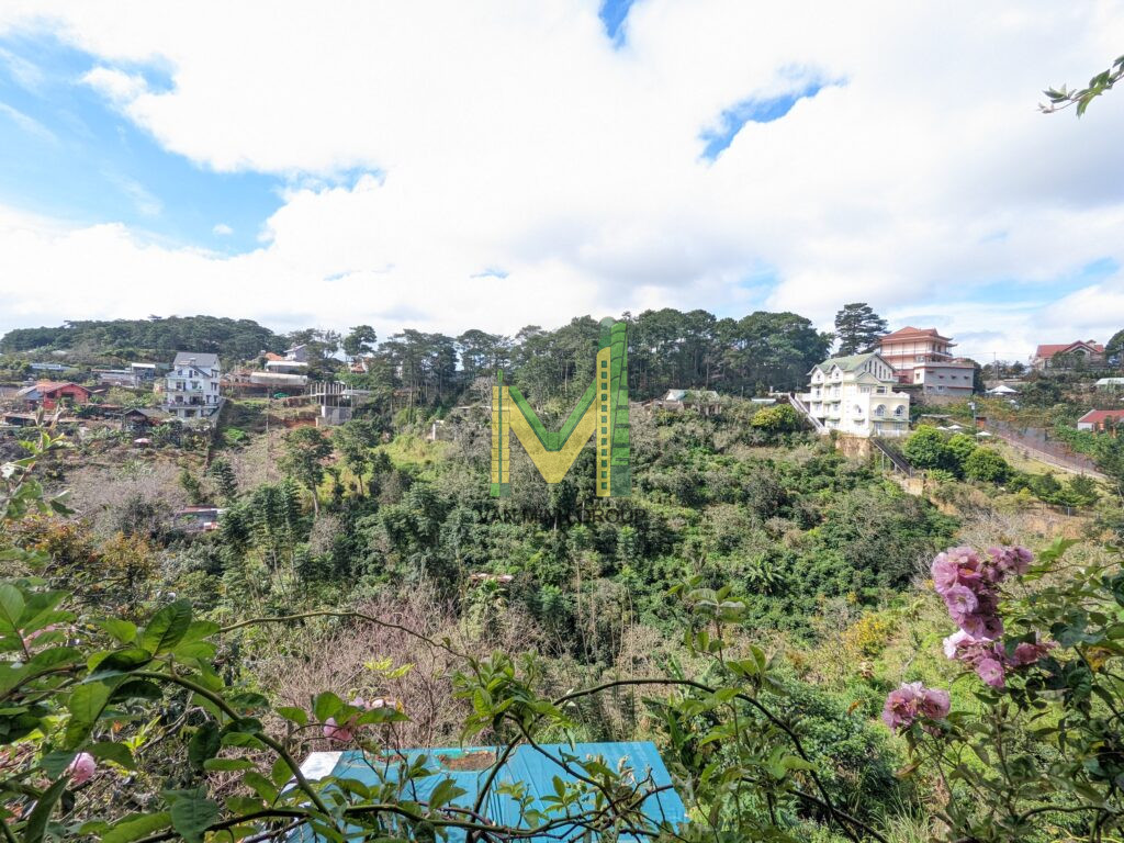 BÁN GẤP LÔ ĐẤT KHE SANH, PHƯỜNG 10, ĐÀ LẠT VIEW RỪNG THÔNG, 865M2 GIÁ 22,5 TỶ RẺ NHẤT KHU VỰC - Ảnh 4