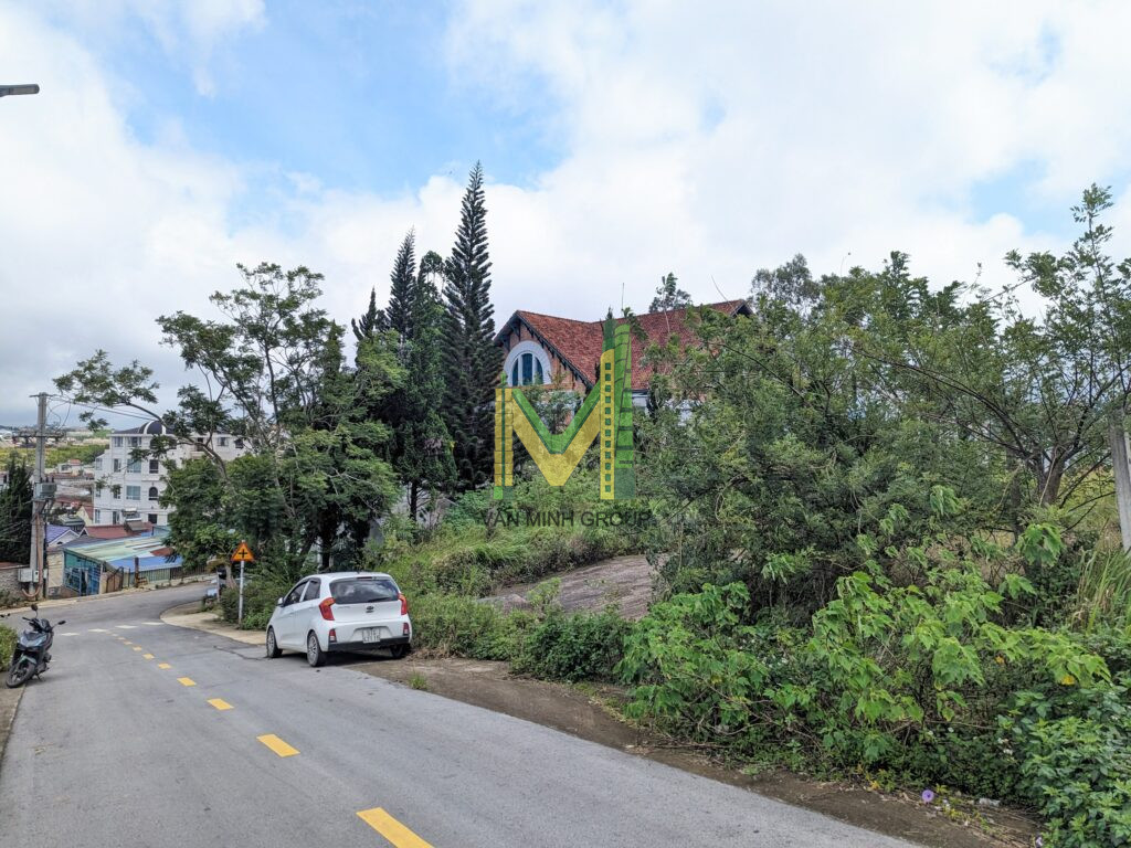 BÁN LÔ ĐẤT VIP ĐỒI HUY HOÀNG, PHƯỜNG 8, ĐÀ LẠT - Ảnh 6