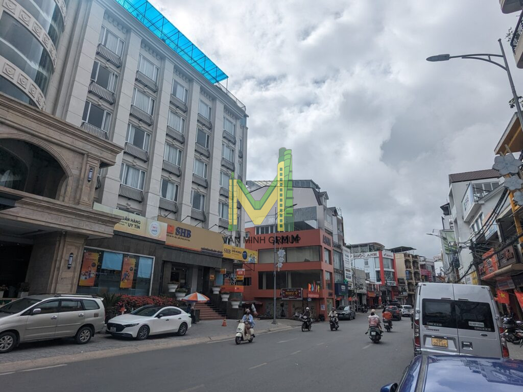 Bán gấp nhà 2 mặt tiền Phan Đình Phùng ngay trung tâm Đà Lạt, mặt tiền nhà rộng 8.2m thuận tiện KD - Ảnh 4