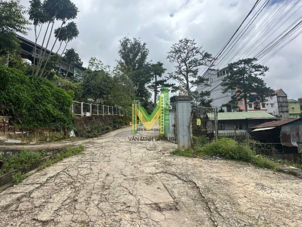 GẤP cần bán lô đất hai mặt tiền Lê Thị Riêng phường 7 Thành Phố Đà Lạt giá 12,2 tỷ 319m2 - Ảnh 5