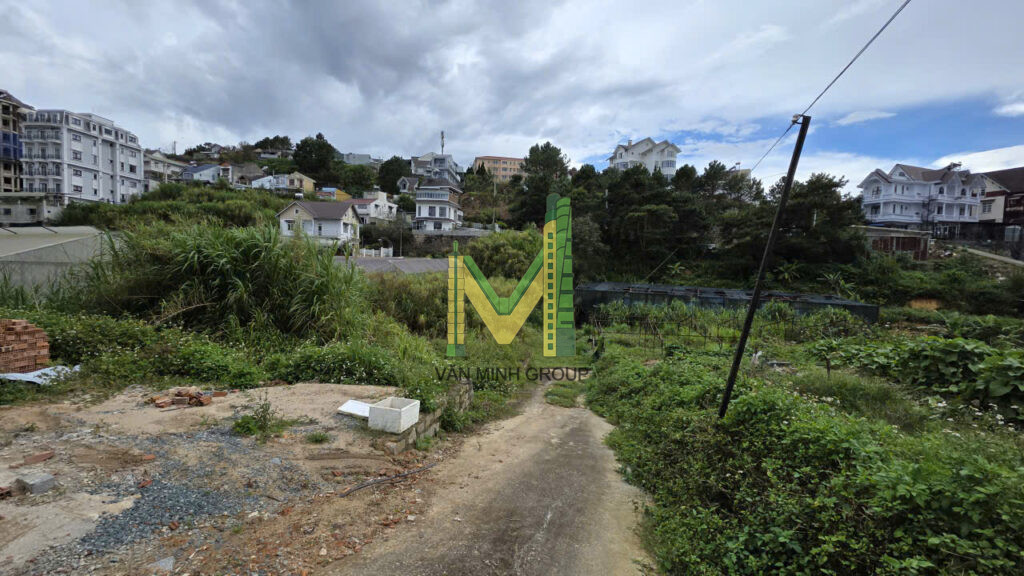 Bán Diện Tích Lớn Đất Nông Nghiệp – Nguyễn Hữu Cảnh – Phường Lâm Viên Đà Lạt - Ảnh 2