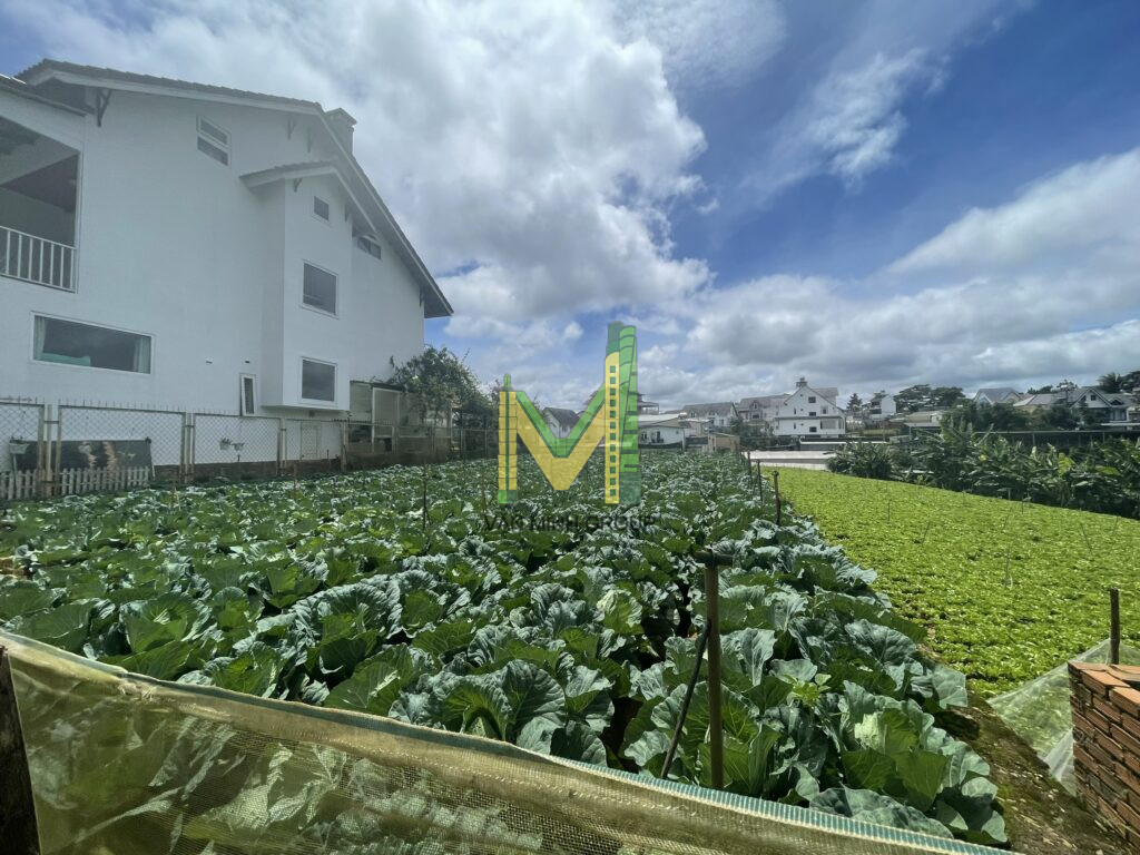 Đất xây dựng đường nhựa Ngô Tất Tố 269m2 - Ảnh 4