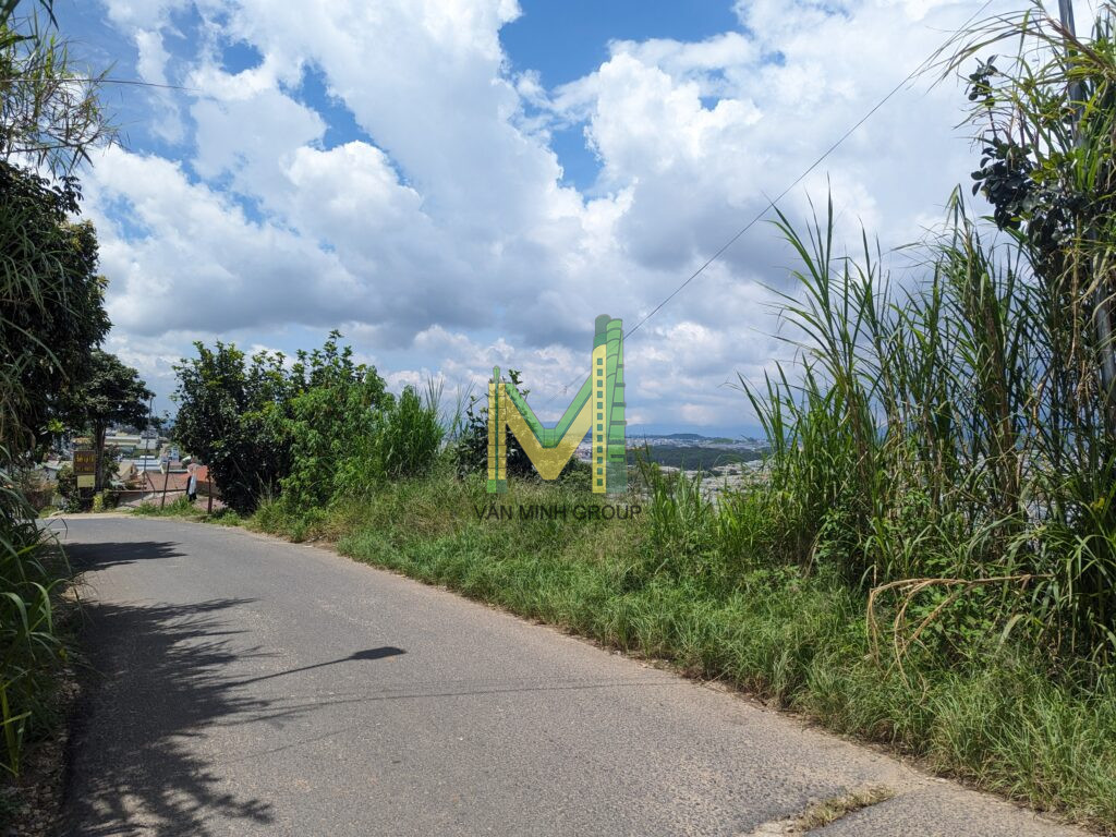 Bán lô đất liên kế 2 mặt tiền tại Sào Nam, Đà Lạt, siêu view nhìn thành phố - Ảnh 2