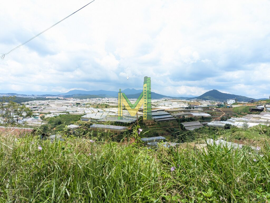 Bán lô đất liên kế 2 mặt tiền tại Sào Nam, Đà Lạt, siêu view nhìn thành phố - Ảnh 3