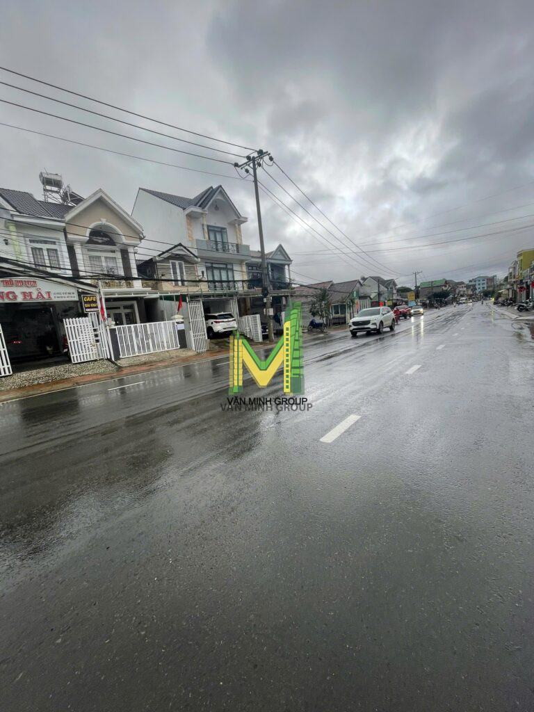 bán biệt thự Xô Viết Nghệ Tĩnh, P7, Đà Lạt - Ảnh 2