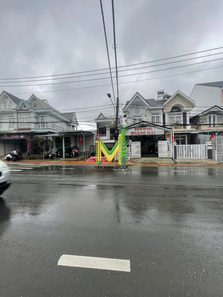 bán biệt thự Xô Viết Nghệ Tĩnh, P7, Đà Lạt - Ảnh 3