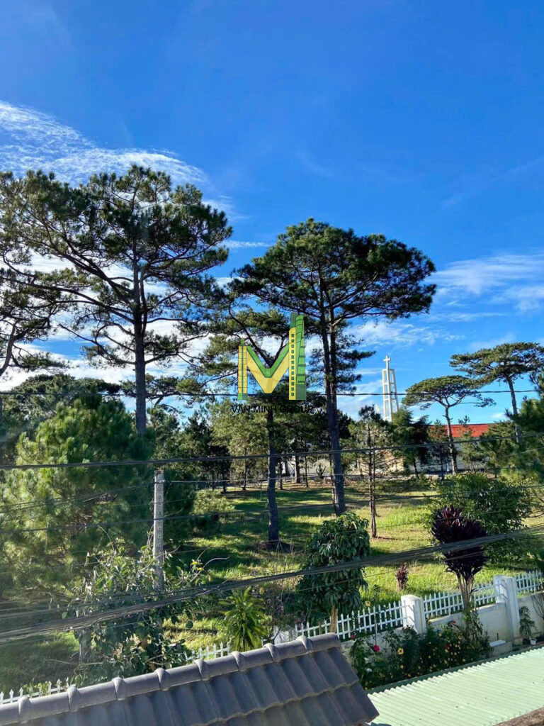 BÁN NHÀ ĐẸP ĐỊNH CƯ ĐƯỜNG NGÔ TẤT TỐ PHƯỜNG LÂM VIÊN ĐÀ LẠT (P8 CŨ) GIÁ 6,8 TỶ - Ảnh 15