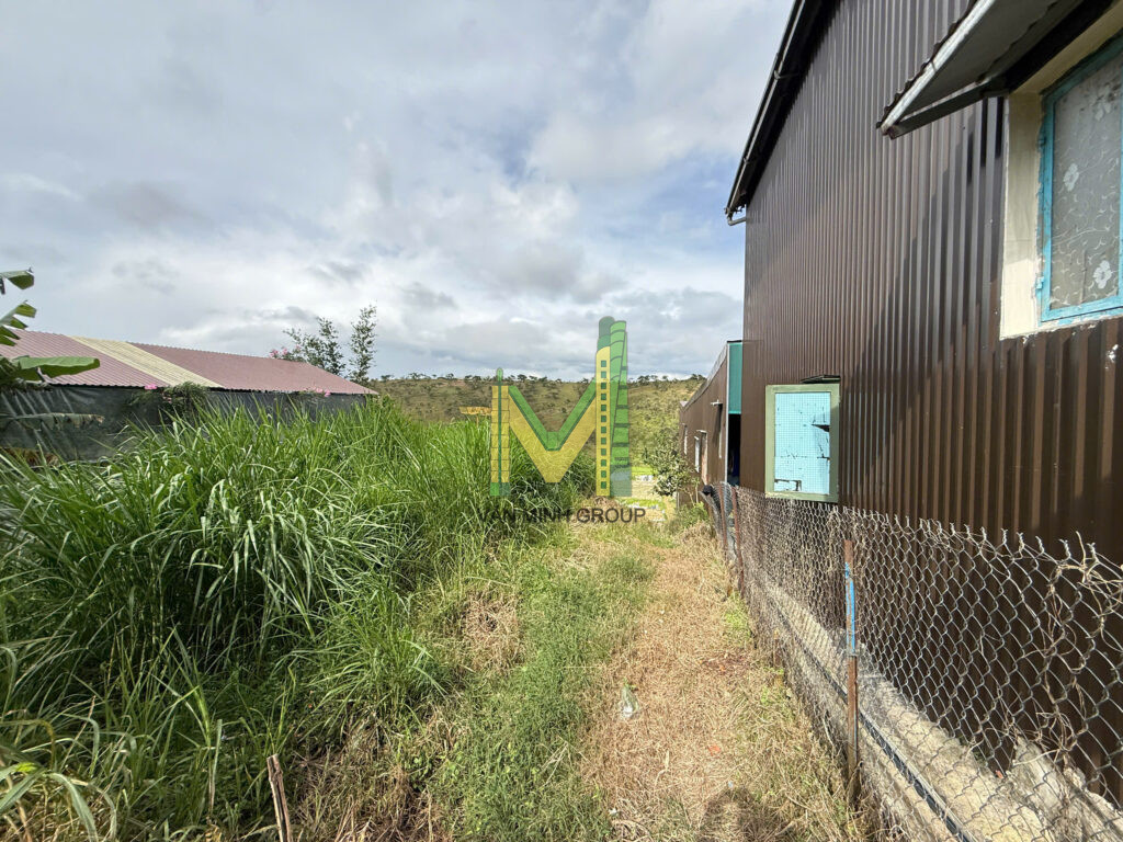 BÁN NHANH LÔ ĐẤT 808m2 TẠI HẺM CHÍNH ĐƯỜNG XÔ VIẾT NGHỆ TĨNH- PHƯỜNG LANGBIANG ĐÀ LẠT – GIÁ 14 TỶ - Ảnh 3