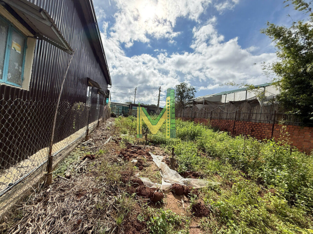 BÁN NHANH LÔ ĐẤT 808m2 TẠI HẺM CHÍNH ĐƯỜNG XÔ VIẾT NGHỆ TĨNH- PHƯỜNG LANGBIANG ĐÀ LẠT – GIÁ 14 TỶ - Ảnh 4