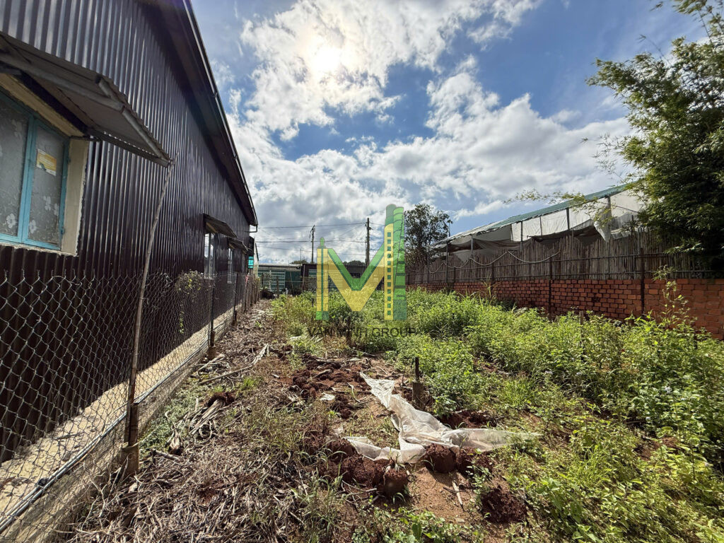 BÁN NHANH LÔ ĐẤT 808m2 TẠI HẺM CHÍNH ĐƯỜNG XÔ VIẾT NGHỆ TĨNH- PHƯỜNG LANGBIANG ĐÀ LẠT – GIÁ 14 TỶ - Ảnh 6