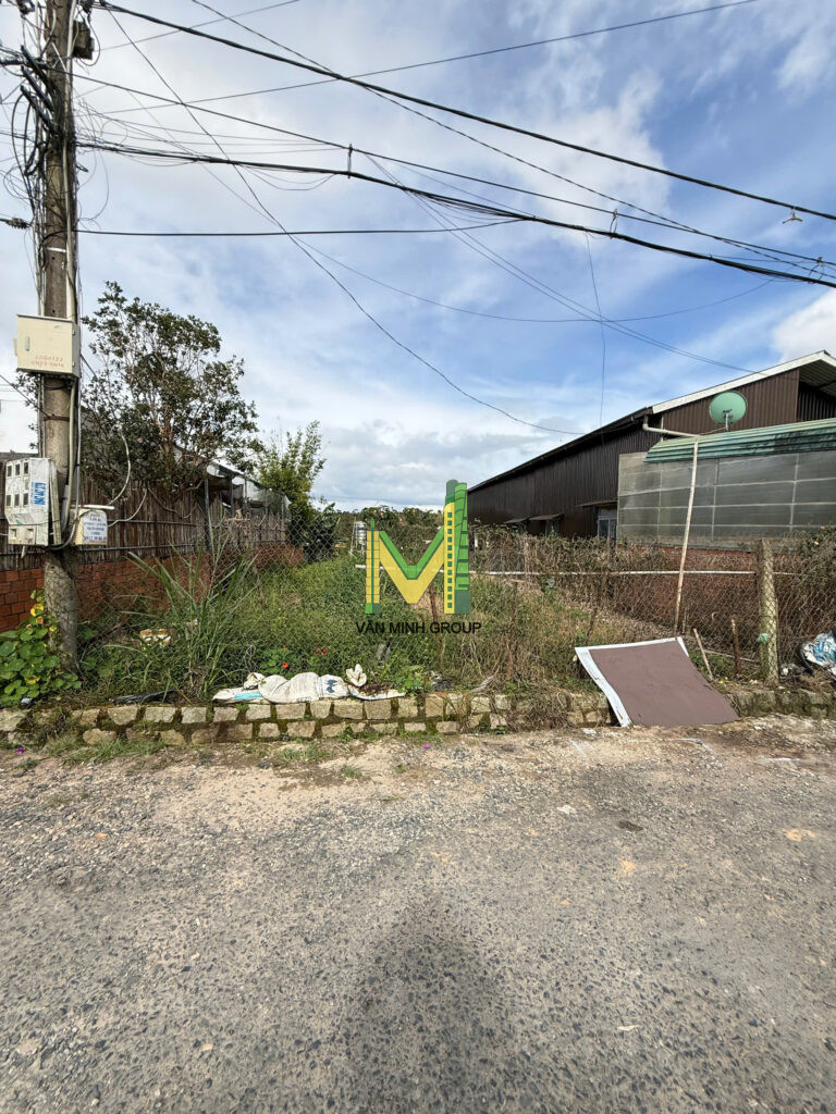 BÁN NHANH LÔ ĐẤT 808m2 TẠI HẺM CHÍNH ĐƯỜNG XÔ VIẾT NGHỆ TĨNH- PHƯỜNG LANGBIANG ĐÀ LẠT – GIÁ 14 TỶ - Ảnh 7